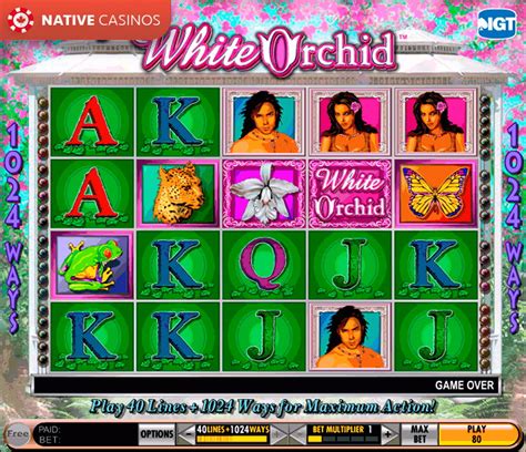 white orchid casino game online|Play Free White Orchid IGT Online Slot Machine Game.